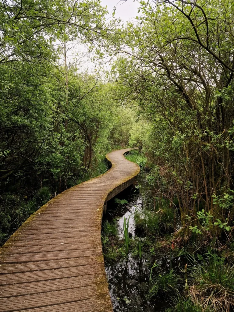 moerputten wandelroute