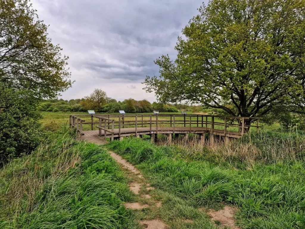 wandelen in de buurt van den bosch