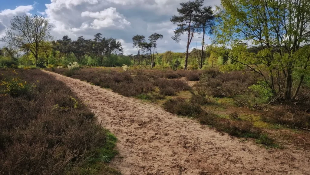 wandelen in de buurt van de efteling