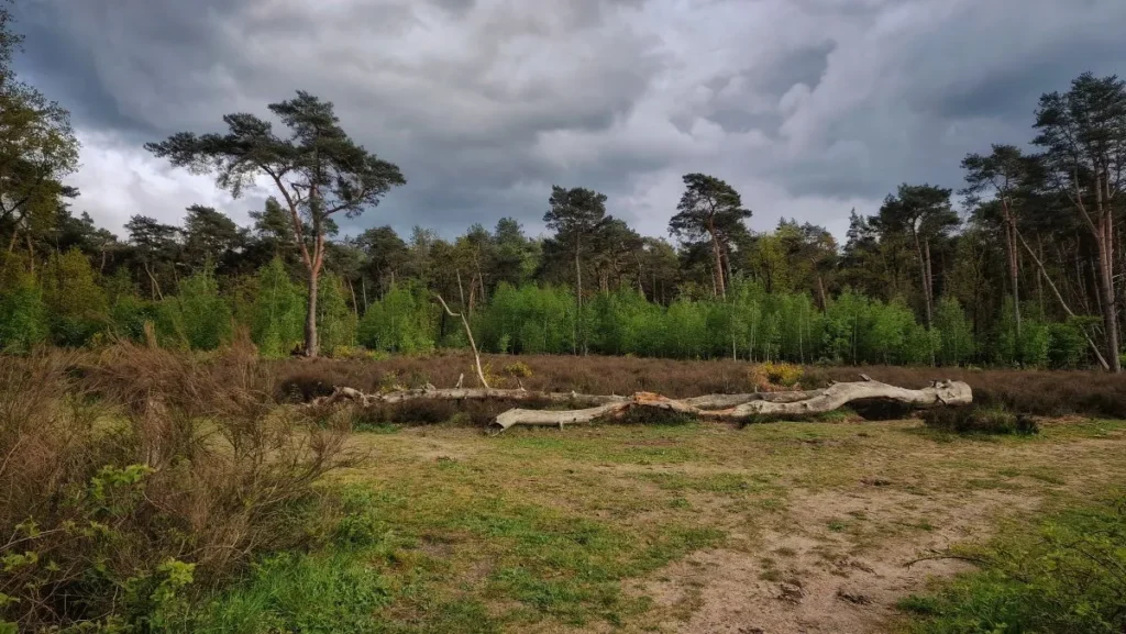 wandelen met kinderen brabant