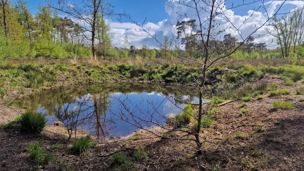 wandelroute kinderen brabant