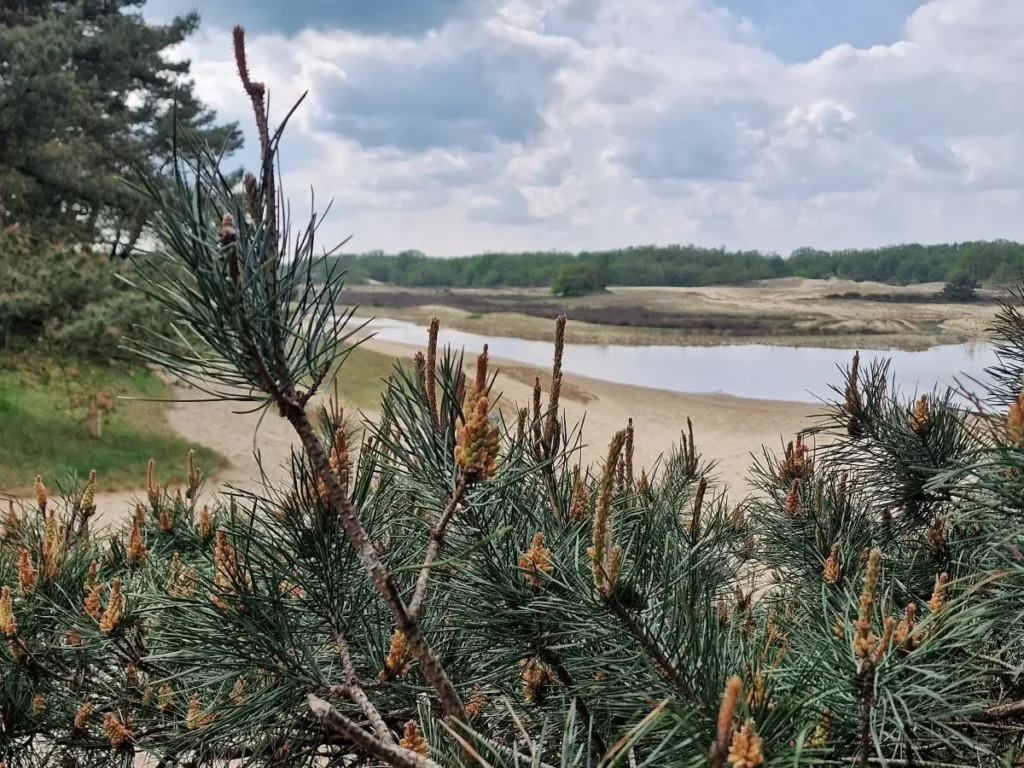 Kapucijnenberg wandelen