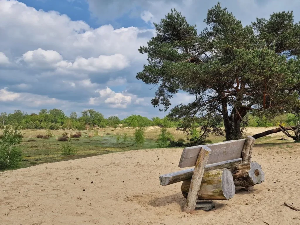 wandelen loonse duinen Kapucijnenberg