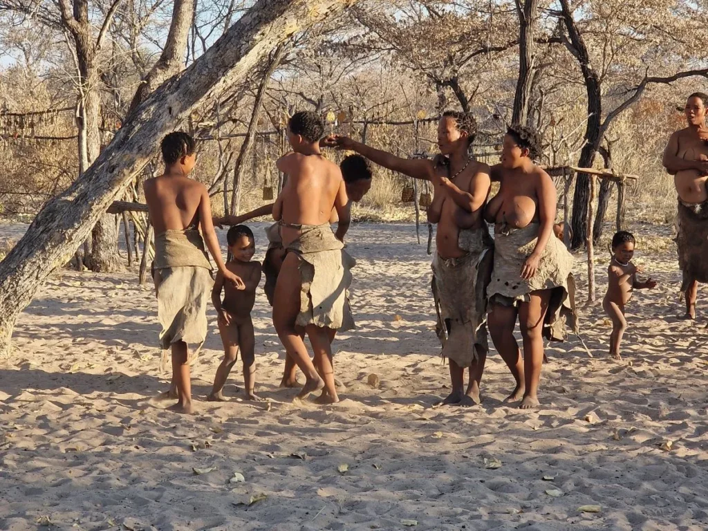 namibie bosjesmannen