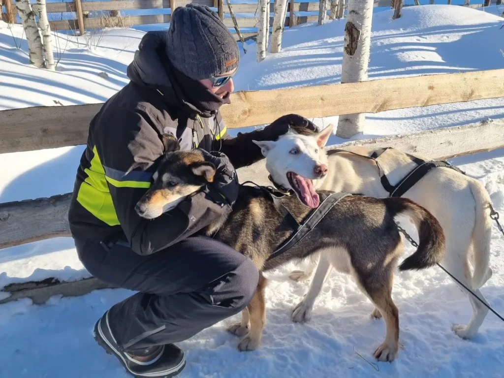 huskytocht lapland