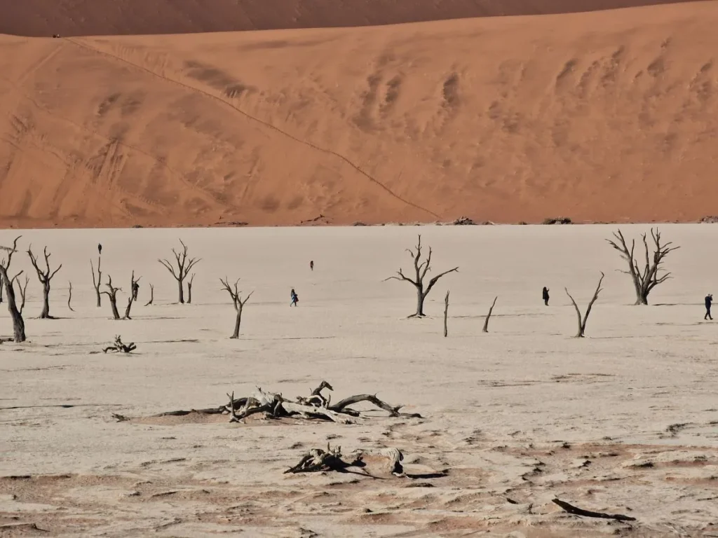 deadvlei namibie