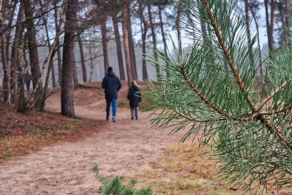 herperduin wandelroute