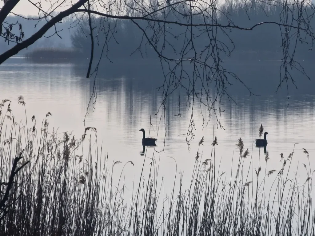 wandelroute engelermeer