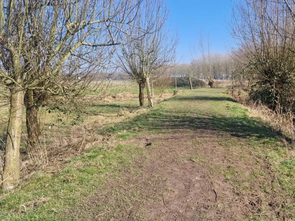 mooie wandelroute den bosch