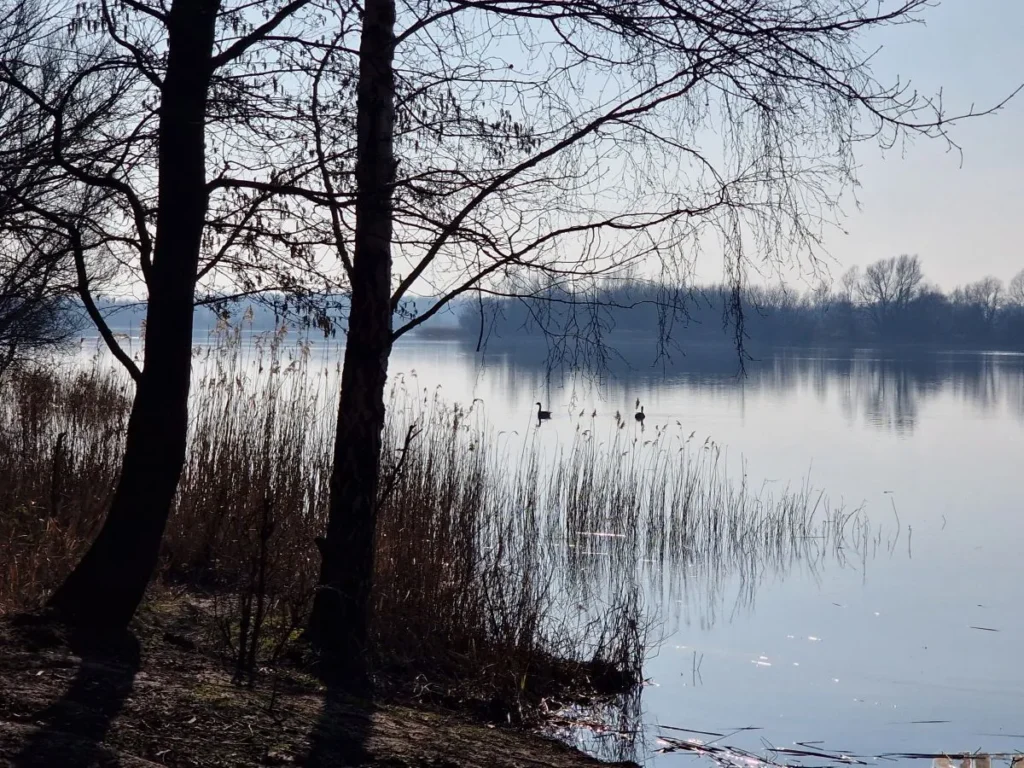 wandelen engelermeer