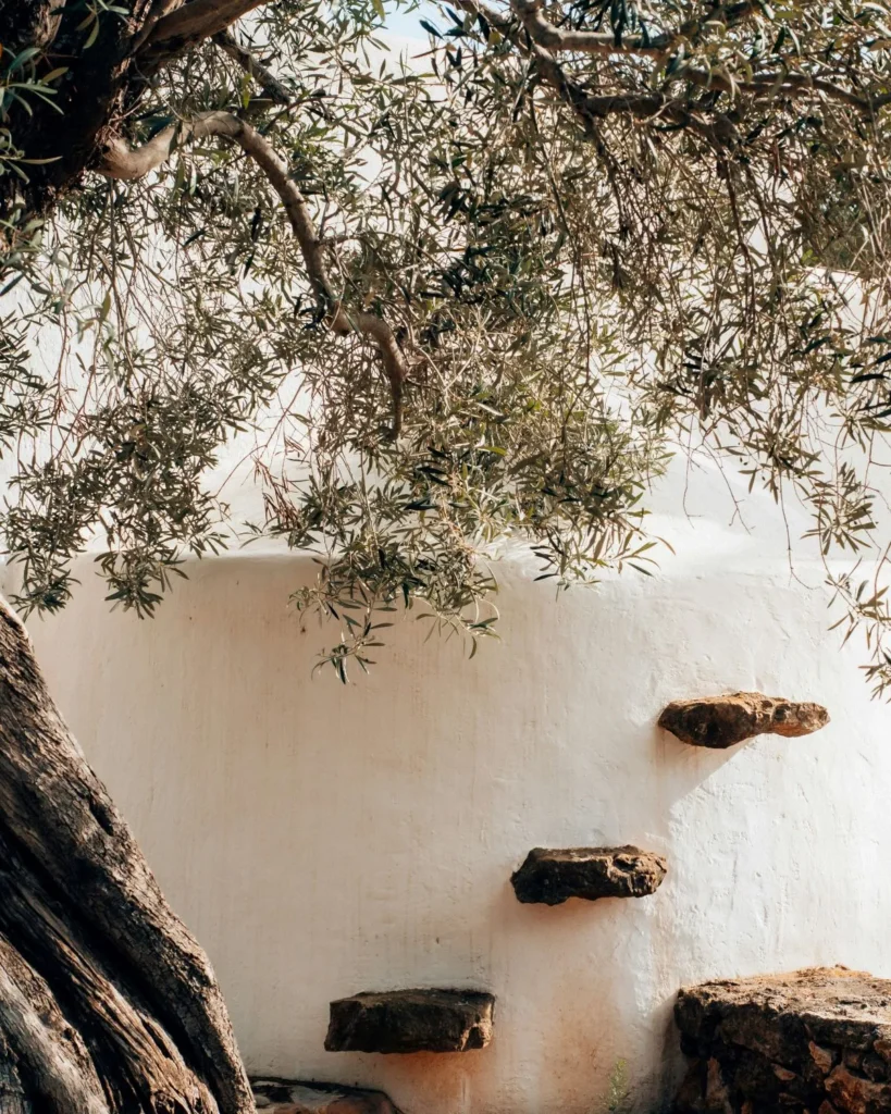 wonen op ibiza